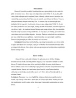 Referāts 'Žanna d'Arka', 5.