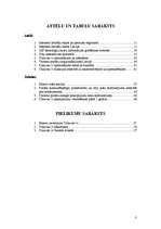 Referāts 'Informatīvā portāla "Uzkartes.lv" tirgvedības attīstības stratēģija', 3.