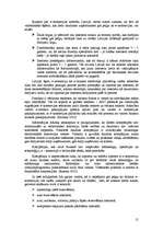 Referāts 'Informatīvā portāla "Uzkartes.lv" tirgvedības attīstības stratēģija', 15.