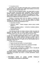 Referāts 'Informatīvā portāla "Uzkartes.lv" tirgvedības attīstības stratēģija', 29.