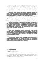 Referāts 'Informatīvā portāla "Uzkartes.lv" tirgvedības attīstības stratēģija', 31.