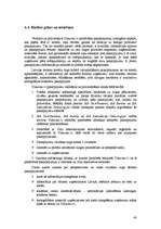 Referāts 'Informatīvā portāla "Uzkartes.lv" tirgvedības attīstības stratēģija', 43.