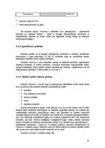 Referāts 'Informatīvā portāla "Uzkartes.lv" tirgvedības attīstības stratēģija', 45.