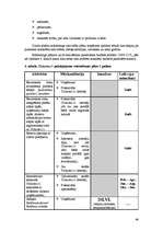 Referāts 'Informatīvā portāla "Uzkartes.lv" tirgvedības attīstības stratēģija', 46.