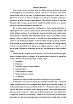 Paraugs 'Dzīvojamās telpas īres līguma analīze', 5.