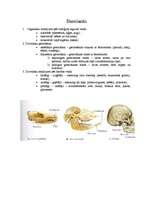 Konspekts 'Barošanās. Gremošanas sistēma', 1.