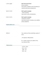 Paraugs 'Gatava Curriculum Vitae latviešu valodā', 2.