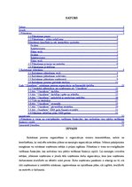 Referāts 'Ražošanas plānošana uzņēmumā "Olainfarm"', 2.