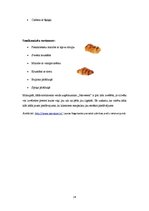 Prakses atskaite 'SIA "Narvesen"', 26.