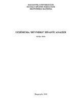 Referāts 'Uzņēmuma "Būvnieks" finanšu analīze', 1.