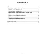 Referāts 'Uzņēmuma "Būvnieks" finanšu analīze', 2.