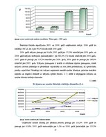 Referāts 'Uzņēmuma "Būvnieks" finanšu analīze', 13.