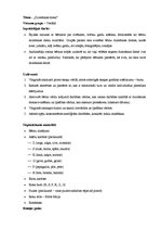 Konspekts 'Runas nodarbība dzimtajā valodā', 1.