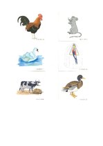 Konspekts 'Runas nodarbība dzimtajā valodā', 15.