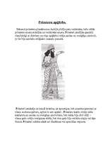 Konspekts 'Asīrijas tērрi', 8.