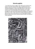 Konspekts 'Asīrijas tērрi', 11.