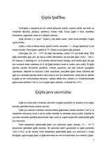 Referāts 'Ģipsis un tā izstrādājumi', 5.