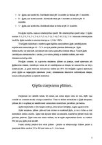 Referāts 'Ģipsis un tā izstrādājumi', 8.