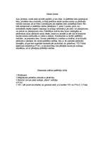 Eseja 'Pārkāpums pret patērētāju', 2.