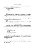 Referāts 'Mārketinga koncepciju lietojums Latvijas uzņēmumos', 2.