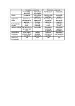 Eseja 'Četri sabiedrisko attiecību darba pamata modeļi un to saistība ar praksi', 6.