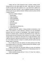 Biznesa plāns 'Biznesa plāns z/s "Niedres"', 13.