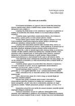 Konspekts 'Ēku sienas un to montāža', 1.