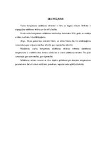 Referāts 'Aukstumtehnika. Saldēšanas iekārtu cikli', 16.