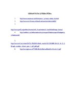 Referāts 'Aukstumtehnika. Saldēšanas iekārtu cikli', 17.