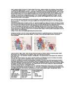 Konspekts 'Anatomijas pamatjēdzieni', 1.