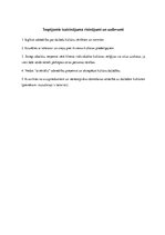 Referāts 'Multikulturālisma aspekti sociālajā darbā', 9.