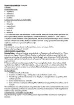 Konspekts 'Konspekts par kursu "Organizāciju psiholoģija"', 1.