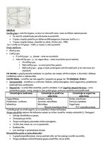 Konspekts 'Konspekts par kursu "Organizāciju psiholoģija"', 16.