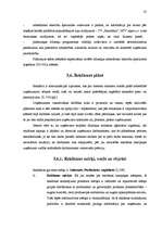 Diplomdarbs 'Mārketinga komunikāciju plāns SIA "AVG grupa"', 35.