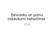 Prezentācija 'Dzīvnieku un putnu hidronīmi Latvijā un Lietuvā', 1.