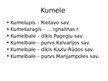 Prezentācija 'Dzīvnieku un putnu hidronīmi Latvijā un Lietuvā', 3.