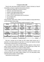 Referāts 'Transporta loģistika', 6.