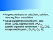 Prezentācija 'Gaisa piesārņojums', 8.