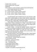 Referāts 'Liepājas ēku arhitektūra pirms un pēc 2.pasaules kara', 23.