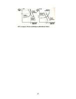 Referāts 'Likumi monetārai politikai', 23.