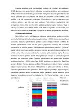 Prakses atskaite 'ERGO Insurance SE Latvijas filiāle', 28.