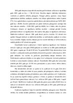 Prakses atskaite 'ERGO Insurance SE Latvijas filiāle', 32.