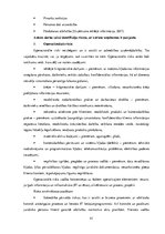 Prakses atskaite 'ERGO Insurance SE Latvijas filiāle', 41.