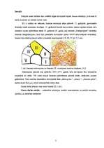 Referāts 'Imantas III sociālais un saimnieciskais profils ', 3.