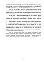 Referāts 'Imantas III sociālais un saimnieciskais profils ', 11.