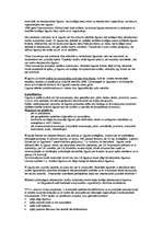 Konspekts 'Valsts eksāmenu jautājumi Starptautiskajās tiesībās', 19.