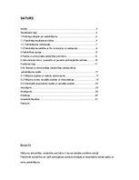 Referāts 'No fiziskas un emocionālas vardarbības cietuša bērna pašvērtējums', 2.