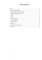 Referāts 'Digitālais mārketings', 2.