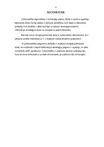 Referāts 'Darījumu apliecinošie dokumenti', 9.