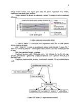 Referāts 'Uzņēmuma rentabilitātes paaugstināšana', 8.